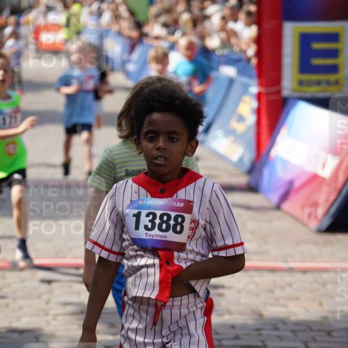 13.06.2025 - Holstenköstenlauf Felixshl http://msf.ph/oto/7923481 13.06.2025 16:06:43 Laufen 171, 296, 307, 311, 321, 460, 462, 466, 587, 590, 698, 860, 1039, 1147, 1384, 1386, 1387 meine-sportfotos.de
