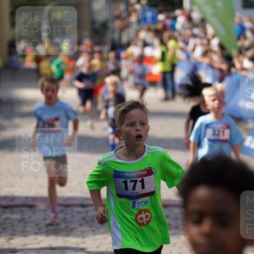 13.06.2025 - Holstenköstenlauf Felixshl http://msf.ph/oto/7923484 13.06.2025 16:06:44 Laufen 171, 296, 307, 311, 321, 460, 462, 466, 590, 698, 860, 1147, 1384, 1386, 1387 meine-sportfotos.de