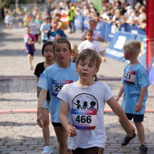 13.06.2025 - Holstenköstenlauf Felixshl http://msf.ph/oto/7923504 13.06.2025 16:06:49 Laufen 167, 305, 307, 311, 460, 462, 860, 957, 1048, 1147, 1306, 1383, 1384, 1386, 1387, 1438, 1887 meine-sportfotos.de