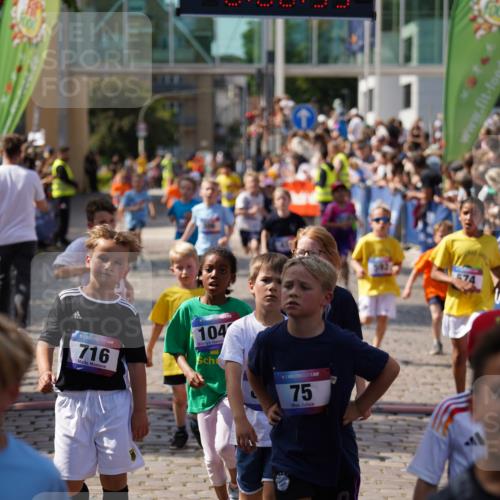 13.06.2025 - Holstenköstenlauf Felixshl http://msf.ph/oto/7923588 13.06.2025 16:07:05 Laufen 26, 34, 306, 316, 434, 452, 459, 467, 574, 575, 585, 592, 693, 699, 716, 973, 1043, 1149, 1202, 1389 meine-sportfotos.de