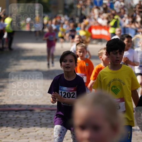 13.06.2025 - Holstenköstenlauf Felixshl http://msf.ph/oto/7923638 13.06.2025 16:07:18 Laufen 40, 53, 124, 170, 172, 197, 298, 315, 579, 589, 688, 847, 863, 865, 1146, 1808 meine-sportfotos.de