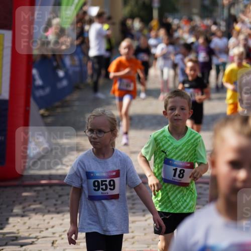 13.06.2025 - Holstenköstenlauf Felixshl http://msf.ph/oto/7923759 13.06.2025 16:07:52 Laufen 18, 175, 204, 297, 304, 325, 432, 439, 442, 456, 458, 461, 464, 580, 581, 584, 588, 687, 706, 838, 846, 857, 955, 959, 1037, 1041, 1183, 1184, 1185, 1187, 1206, 1301, 1817 meine-sportfotos.de
