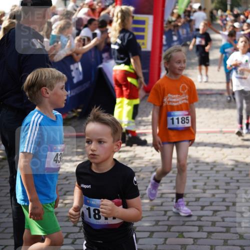 13.06.2025 - Holstenköstenlauf Felixshl http://msf.ph/oto/7923781 13.06.2025 16:07:57 Laufen 52, 304, 325, 432, 441, 442, 456, 461, 464, 580, 581, 584, 588, 687, 706, 838, 846, 857, 966, 1037, 1041, 1183, 1184, 1185, 1187, 1206, 1301, 1817, 1898 meine-sportfotos.de