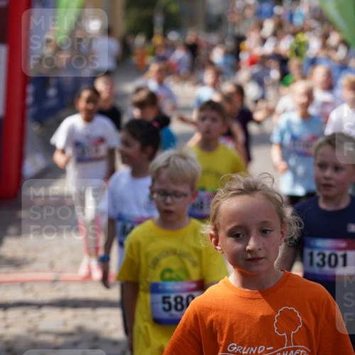 13.06.2025 - Holstenköstenlauf Felixshl http://msf.ph/oto/7923786 13.06.2025 16:07:59 Laufen 52, 209, 212, 288, 304, 325, 441, 442, 453, 456, 461, 464, 581, 584, 588, 687, 706, 838, 846, 857, 966, 1037, 1041, 1183, 1187, 1206, 1304, 1898 meine-sportfotos.de