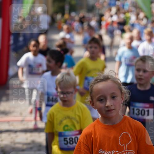 13.06.2025 - Holstenköstenlauf Felixshl http://msf.ph/oto/7923788 13.06.2025 16:07:59 Laufen 52, 209, 212, 288, 304, 325, 441, 442, 453, 456, 461, 464, 581, 584, 588, 687, 706, 838, 846, 857, 966, 1037, 1041, 1183, 1187, 1206, 1304, 1898 meine-sportfotos.de
