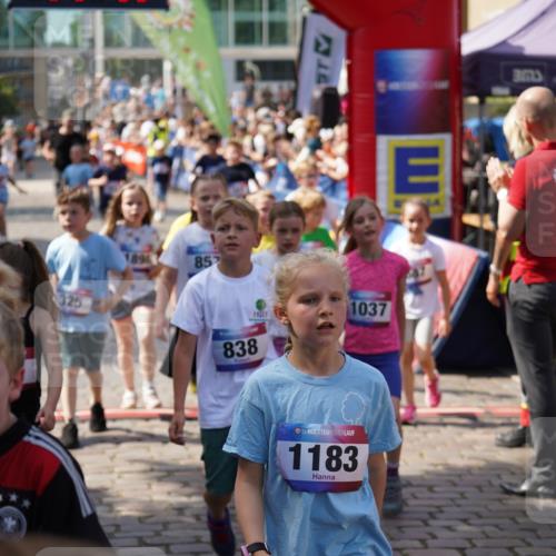 13.06.2025 - Holstenköstenlauf Felixshl http://msf.ph/oto/7923806 13.06.2025 16:08:04 Laufen 52, 209, 212, 288, 325, 435, 441, 453, 584, 588, 687, 701, 966, 1187, 1216, 1304, 1898 meine-sportfotos.de