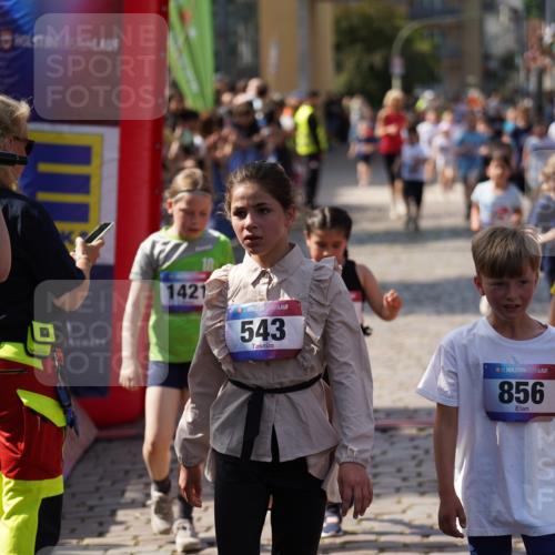 13.06.2025 - Holstenköstenlauf Felixshl http://msf.ph/oto/7923896 13.06.2025 16:08:35 Laufen 289, 295, 303, 446, 597, 845, 964, 1051, 1208, 1209, 1210, 1213, 1302, 1305, 1314, 1385, 1421, 1806 meine-sportfotos.de