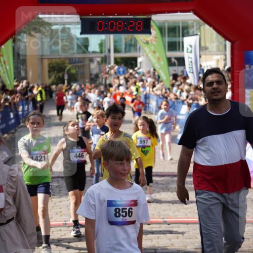 13.06.2025 - Holstenköstenlauf Felixshl http://msf.ph/oto/7923908 13.06.2025 16:08:37 Laufen 289, 295, 303, 446, 597, 845, 964, 1051, 1208, 1209, 1213, 1214, 1302, 1305, 1314, 1421, 1806 meine-sportfotos.de