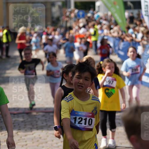 13.06.2025 - Holstenköstenlauf Felixshl http://msf.ph/oto/7923912 13.06.2025 16:08:38 Laufen 289, 295, 303, 686, 839, 843, 845, 964, 1051, 1208, 1214, 1302, 1305, 1314, 1806 meine-sportfotos.de