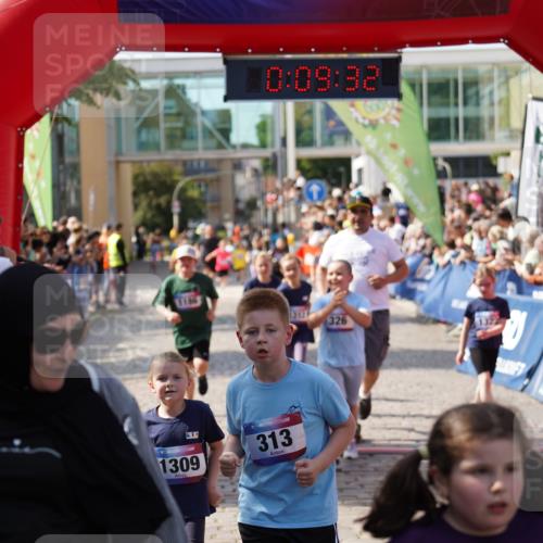 13.06.2025 - Holstenköstenlauf Felixshl http://msf.ph/oto/7924110 13.06.2025 16:09:41 Laufen 313, 326, 713, 969, 1186, 1308, 1309, 1312 meine-sportfotos.de