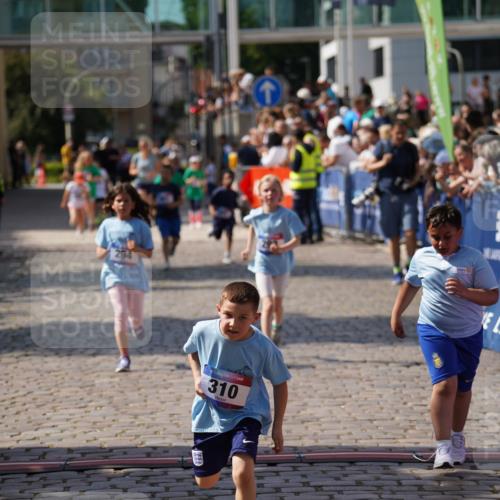 13.06.2025 - Holstenköstenlauf Felixshl http://msf.ph/oto/7924167 13.06.2025 16:09:57 Laufen 201, 293, 294, 310, 961, 1381 meine-sportfotos.de