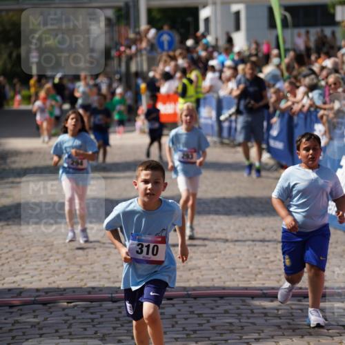 13.06.2025 - Holstenköstenlauf Felixshl http://msf.ph/oto/7924172 13.06.2025 16:09:58 Laufen 201, 293, 294, 310, 961, 1381 meine-sportfotos.de