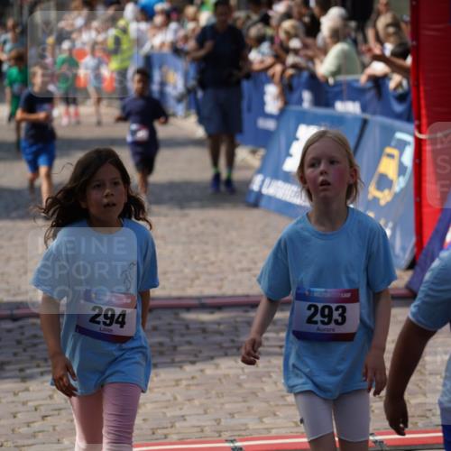 13.06.2025 - Holstenköstenlauf Felixshl http://msf.ph/oto/7924200 13.06.2025 16:10:02 Laufen 119, 190, 201, 293, 294, 705, 866, 961, 1834 meine-sportfotos.de