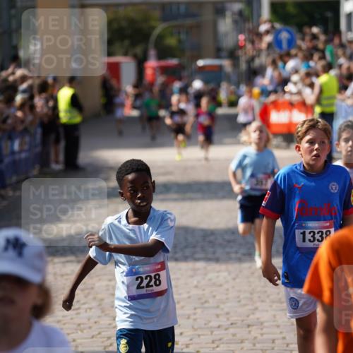 13.06.2025 - Holstenköstenlauf Felixshl http://msf.ph/oto/7924564 13.06.2025 16:20:53 Laufen 157, 228, 344, 357, 889, 983, 1001, 1144, 1277, 1338, 1849 meine-sportfotos.de