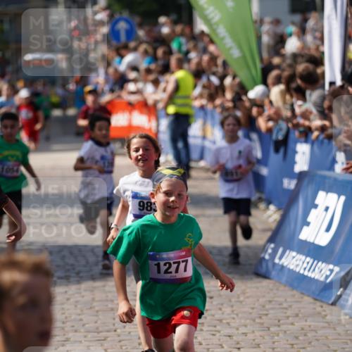 13.06.2025 - Holstenköstenlauf Felixshl http://msf.ph/oto/7924607 13.06.2025 16:21:01 Laufen 352, 358, 492, 722, 891, 983, 993, 1054, 1143, 1144, 1275, 1277, 1397, 1415, 1416, 1849 meine-sportfotos.de
