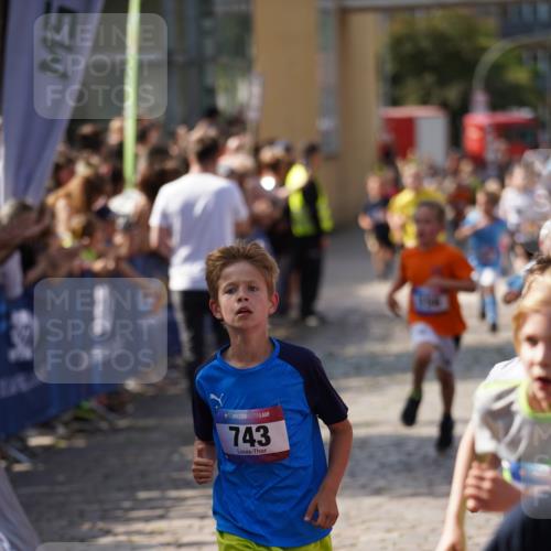 13.06.2025 - Holstenköstenlauf Felixshl http://msf.ph/oto/7924652 13.06.2025 16:21:12 Laufen 8, 19, 54, 156, 335, 349, 350, 361, 362, 492, 557, 617, 743, 749, 882, 884, 893, 1003, 1061, 1075, 1275, 1330, 1425 meine-sportfotos.de