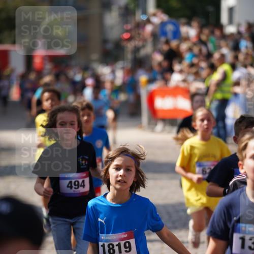 13.06.2025 - Holstenköstenlauf Felixshl http://msf.ph/oto/7924918 13.06.2025 16:22:03 Laufen 360, 494, 496, 624, 629, 748, 752, 888, 984, 1005, 1177, 1325, 1432, 1819, 1826, 1829 meine-sportfotos.de