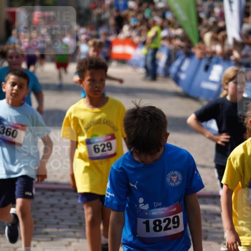 13.06.2025 - Holstenköstenlauf Felixshl http://msf.ph/oto/7924937 13.06.2025 16:22:08 Laufen 14, 345, 360, 496, 624, 629, 752, 996, 1391, 1428, 1432, 1826, 1829, 1942 meine-sportfotos.de