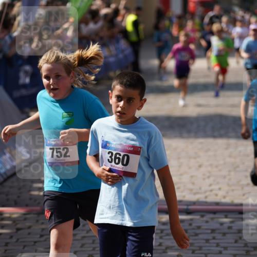 13.06.2025 - Holstenköstenlauf Felixshl http://msf.ph/oto/7924942 13.06.2025 16:22:09 Laufen 14, 345, 360, 496, 629, 752, 996, 1391, 1428, 1432, 1826, 1942 meine-sportfotos.de