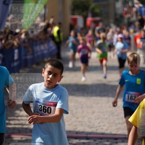 13.06.2025 - Holstenköstenlauf Felixshl http://msf.ph/oto/7924945 13.06.2025 16:22:09 Laufen 14, 345, 360, 496, 629, 752, 996, 1391, 1428, 1432, 1826, 1942 meine-sportfotos.de