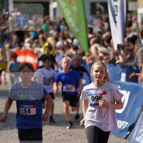 13.06.2025 - Holstenköstenlauf Felixshl http://msf.ph/oto/7924969 13.06.2025 16:22:16 Laufen 14, 38, 345, 353, 470, 488, 611, 747, 754, 992, 996, 1230, 1320, 1391, 1395, 1428, 1942 meine-sportfotos.de