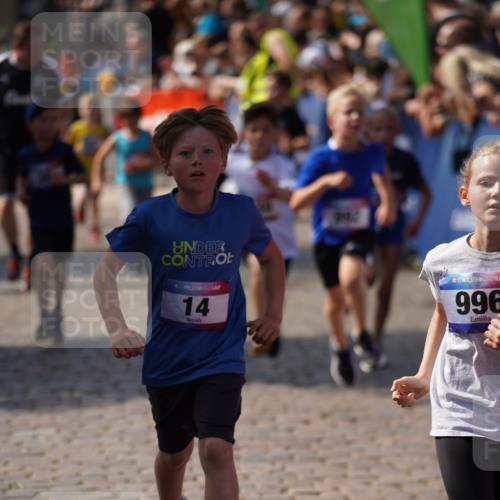 13.06.2025 - Holstenköstenlauf Felixshl http://msf.ph/oto/7924971 13.06.2025 16:22:16 Laufen 14, 38, 345, 353, 470, 488, 611, 747, 754, 992, 996, 1230, 1320, 1391, 1395, 1428, 1942 meine-sportfotos.de