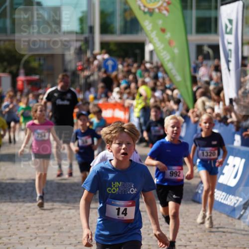 13.06.2025 - Holstenköstenlauf Felixshl http://msf.ph/oto/7924979 13.06.2025 16:22:17 Laufen 14, 38, 345, 353, 470, 488, 611, 747, 754, 992, 994, 996, 1062, 1230, 1320, 1391, 1395, 1942 meine-sportfotos.de