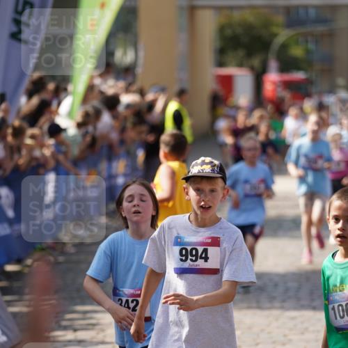 13.06.2025 - Holstenköstenlauf Felixshl http://msf.ph/oto/7925009 13.06.2025 16:22:26 Laufen 164, 329, 333, 341, 342, 343, 351, 353, 355, 470, 486, 747, 867, 896, 994, 1038, 1062, 1175, 1233, 1334, 1395, 1858 meine-sportfotos.de
