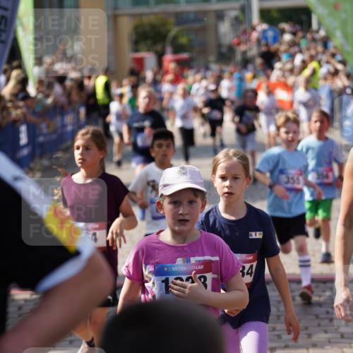 13.06.2025 - Holstenköstenlauf Felixshl http://msf.ph/oto/7925038 13.06.2025 16:22:34 Laufen 164, 329, 333, 343, 355, 356, 489, 868, 890, 895, 896, 987, 991, 997, 1038, 1073, 1279, 1334, 1336, 1390, 1858 meine-sportfotos.de