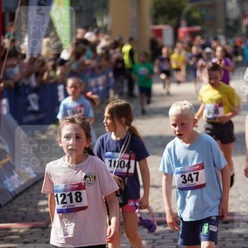 13.06.2025 - Holstenköstenlauf Felixshl http://msf.ph/oto/7925111 13.06.2025 16:22:51 Laufen 45, 50, 347, 603, 608, 621, 880, 881, 887, 1004, 1059, 1138, 1179, 1218, 1276, 1278, 1804, 1813, 1866 meine-sportfotos.de