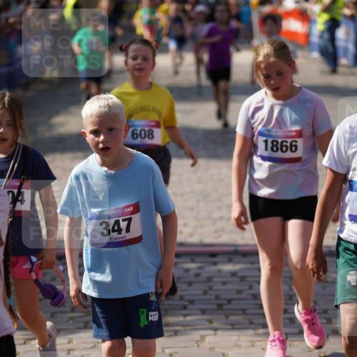 13.06.2025 - Holstenköstenlauf Felixshl http://msf.ph/oto/7925117 13.06.2025 16:22:52 Laufen 45, 109, 347, 603, 608, 621, 880, 887, 1059, 1138, 1179, 1276, 1278, 1804, 1813, 1866 meine-sportfotos.de