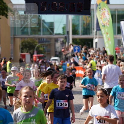 13.06.2025 - Holstenköstenlauf Felixshl http://msf.ph/oto/7925198 13.06.2025 16:23:10 Laufen 604, 615, 730, 732, 745, 746, 883, 885, 981, 1076, 1226, 1227, 1229, 1281, 1346, 1420, 1422, 1423 meine-sportfotos.de