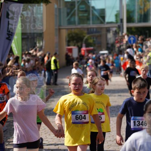 13.06.2025 - Holstenköstenlauf Felixshl http://msf.ph/oto/7925215 13.06.2025 16:23:12 Laufen 330, 497, 604, 615, 730, 732, 745, 746, 883, 885, 981, 1076, 1227, 1229, 1281, 1346, 1420, 1422, 1423 meine-sportfotos.de