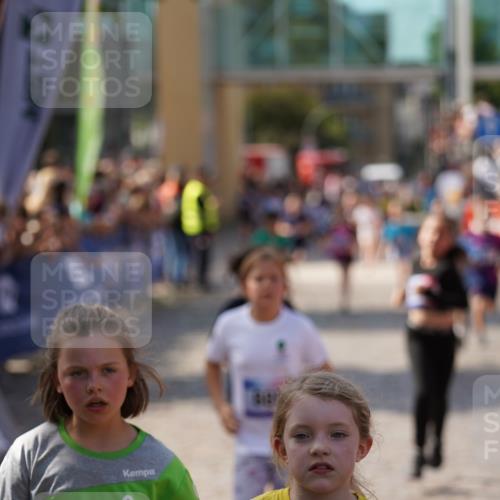 13.06.2025 - Holstenköstenlauf Felixshl http://msf.ph/oto/7925227 13.06.2025 16:23:16 Laufen 226, 327, 330, 497, 615, 728, 730, 745, 883, 885, 1076, 1220, 1227, 1229, 1281, 1422, 1423 meine-sportfotos.de