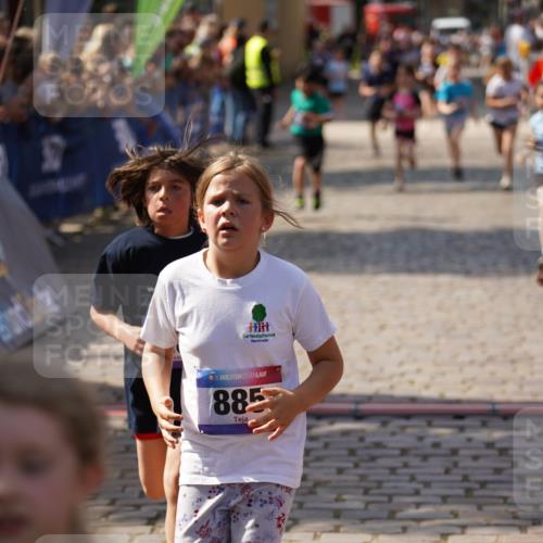13.06.2025 - Holstenköstenlauf Felixshl http://msf.ph/oto/7925231 13.06.2025 16:23:17 Laufen 226, 327, 330, 497, 728, 883, 885, 1076, 1220, 1227, 1229, 1281, 1337 meine-sportfotos.de