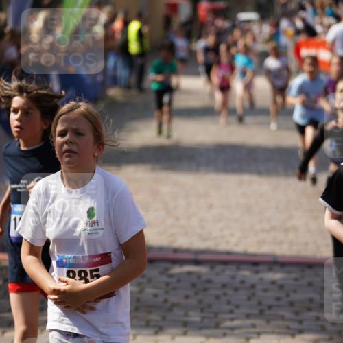 13.06.2025 - Holstenköstenlauf Felixshl http://msf.ph/oto/7925235 13.06.2025 16:23:17 Laufen 226, 327, 330, 497, 728, 883, 885, 1076, 1220, 1227, 1229, 1281, 1337 meine-sportfotos.de