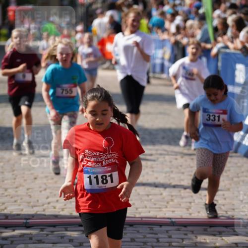 13.06.2025 - Holstenköstenlauf Felixshl http://msf.ph/oto/7925624 13.06.2025 16:24:52 Laufen 9, 331, 740, 755, 1053, 1181, 1231, 1232 meine-sportfotos.de
