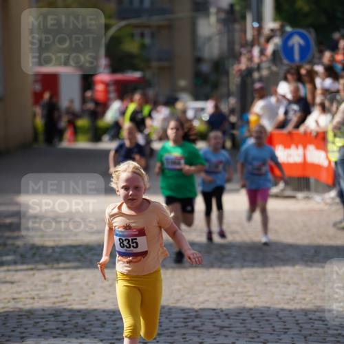 13.06.2025 - Holstenköstenlauf Felixshl http://msf.ph/oto/7925797 13.06.2025 16:25:48 Laufen 339, 340, 835, 1066, 1328 meine-sportfotos.de
