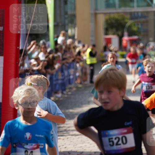 13.06.2025 - Holstenköstenlauf Felixshl http://msf.ph/oto/7926102 13.06.2025 16:36:23 Laufen 77, 135, 376, 382, 387, 388, 391, 515, 764, 918, 920, 1011, 1868 meine-sportfotos.de