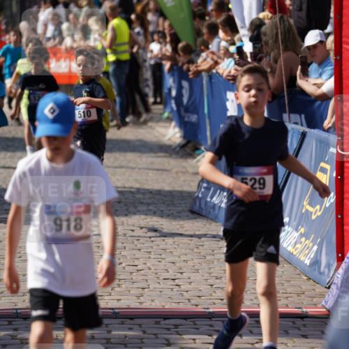 13.06.2025 - Holstenköstenlauf Felixshl http://msf.ph/oto/7926136 13.06.2025 16:36:32 Laufen 77, 389, 499, 510, 521, 528, 529, 635, 644, 764, 765, 775, 918, 920, 1011, 1017, 1132, 1236, 1269, 1358, 1405 meine-sportfotos.de