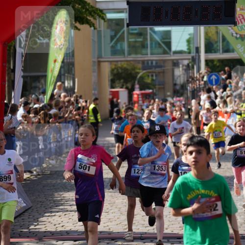 13.06.2025 - Holstenköstenlauf Felixshl http://msf.ph/oto/7926212 13.06.2025 16:36:50 Laufen 21, 58, 61, 154, 381, 501, 517, 522, 523, 632, 777, 789, 793, 899, 1015, 1131, 1238, 1349, 1353 meine-sportfotos.de