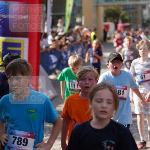 13.06.2025 - Holstenköstenlauf Felixshl http://msf.ph/oto/7926266 13.06.2025 16:36:58 Laufen 21, 25, 58, 61, 380, 381, 386, 522, 793, 1026, 1077, 1131, 1247, 1270, 1273 meine-sportfotos.de