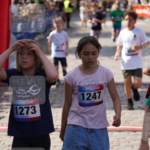 13.06.2025 - Holstenköstenlauf Felixshl http://msf.ph/oto/7926315 13.06.2025 16:37:08 Laufen 148, 375, 386, 508, 511, 630, 906, 908, 917, 1019, 1077, 1079, 1133, 1171, 1270 meine-sportfotos.de
