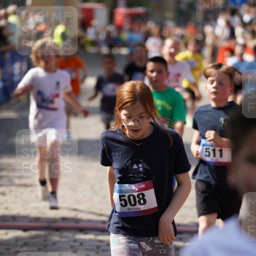 13.06.2025 - Holstenköstenlauf Felixshl http://msf.ph/oto/7926337 13.06.2025 16:37:13 Laufen 148, 375, 379, 508, 511, 630, 906, 1019, 1079, 1133, 1171 meine-sportfotos.de