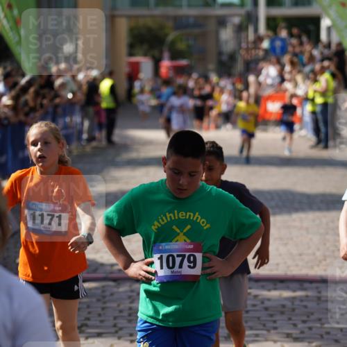 13.06.2025 - Holstenköstenlauf Felixshl http://msf.ph/oto/7926356 13.06.2025 16:37:19 Laufen 148, 369, 375, 379, 630, 647, 657, 796, 1098, 1129, 1133, 1170, 1171, 1274 meine-sportfotos.de
