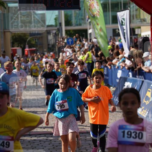 13.06.2025 - Holstenköstenlauf Felixshl http://msf.ph/oto/7926427 13.06.2025 16:37:36 Laufen 149, 236, 238, 370, 390, 504, 532, 640, 649, 656, 767, 776, 795, 900, 901, 905, 1012, 1021, 1022, 1080, 1090, 1101, 1271, 1862, 1930 meine-sportfotos.de