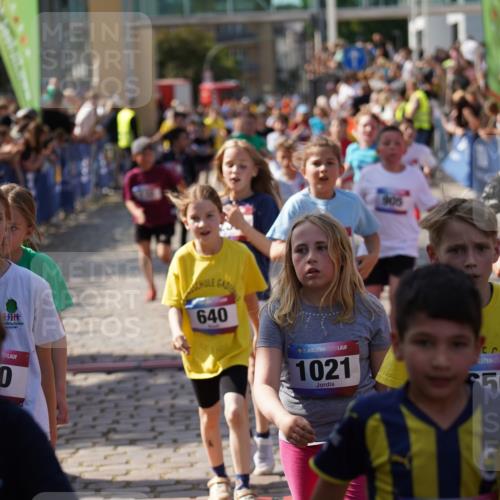 13.06.2025 - Holstenköstenlauf Felixshl http://msf.ph/oto/7926465 13.06.2025 16:37:44 Laufen 116, 132, 236, 238, 251, 370, 509, 516, 633, 637, 640, 645, 656, 759, 762, 773, 776, 786, 905, 1016, 1021, 1022, 1101, 1126, 1169, 1267, 1401, 1419, 1836, 1862 meine-sportfotos.de