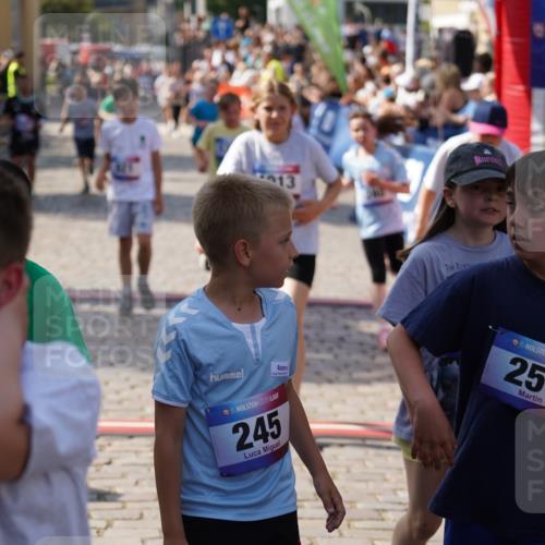 13.06.2025 - Holstenköstenlauf Felixshl http://msf.ph/oto/7926639 13.06.2025 16:38:26 Laufen 240, 243, 244, 377, 780, 916, 921, 1007, 1013, 1020, 1099, 1340, 1350, 1403 meine-sportfotos.de