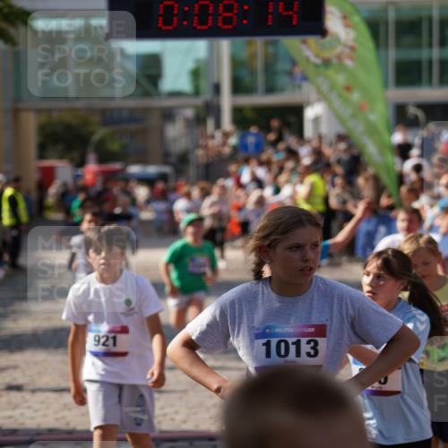 13.06.2025 - Holstenköstenlauf Felixshl http://msf.ph/oto/7926644 13.06.2025 16:38:28 Laufen 240, 243, 244, 519, 780, 916, 921, 1007, 1020, 1025, 1099, 1340, 1350, 1403, 1933 meine-sportfotos.de