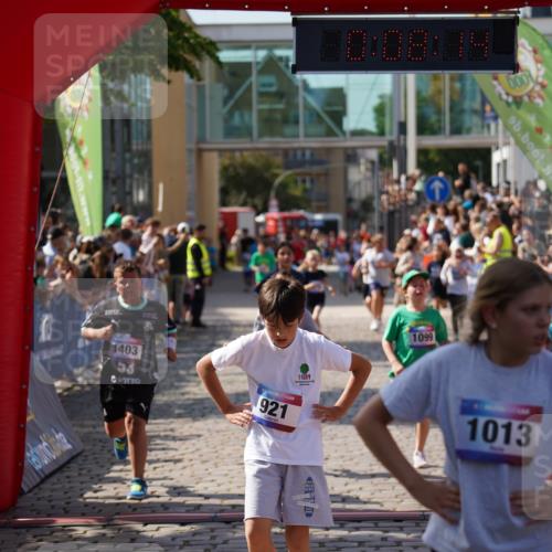 13.06.2025 - Holstenköstenlauf Felixshl http://msf.ph/oto/7926646 13.06.2025 16:38:28 Laufen 240, 243, 244, 519, 780, 916, 921, 1007, 1020, 1025, 1099, 1340, 1350, 1403, 1933 meine-sportfotos.de